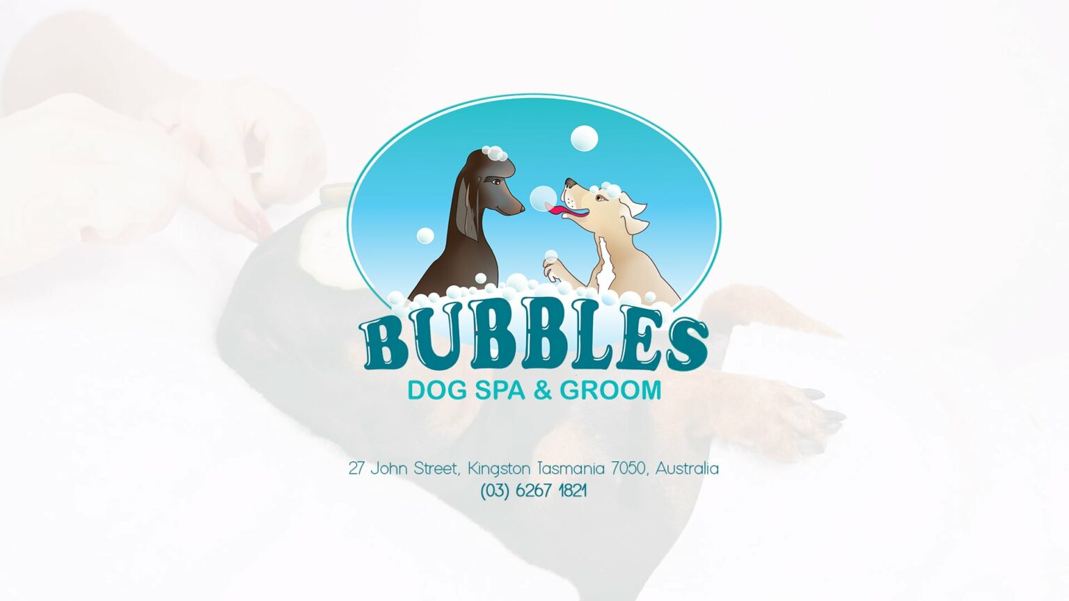 Bubbles Dog Spa & Groom KHBEC